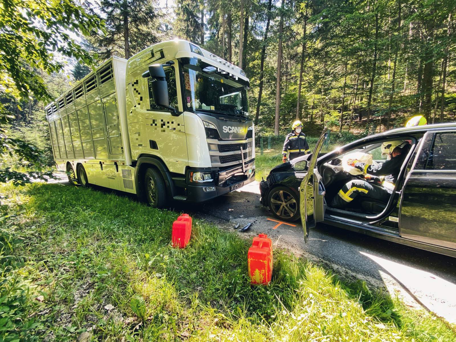 PKW frontal gegen Viehtransporter