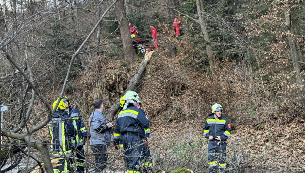 Menschenrettung nach Forstunfall