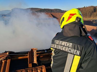 76192cfd 5bcf 4219 A99a 6de6b25d1d79