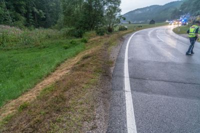 IMG 20190729 WA0004